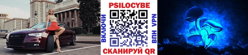 Купить закладки  Стерлитамак  Псилоцибиновые грибы мицелий 